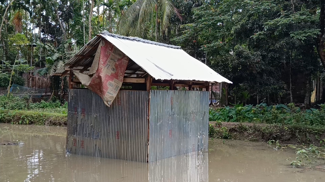 ভোলার ভেদুরিয়ায় এক বিধবার ঘর ভাংচুরের চেষ্টা চলাচ্ছে এক ভূমিদস্যু চক্র