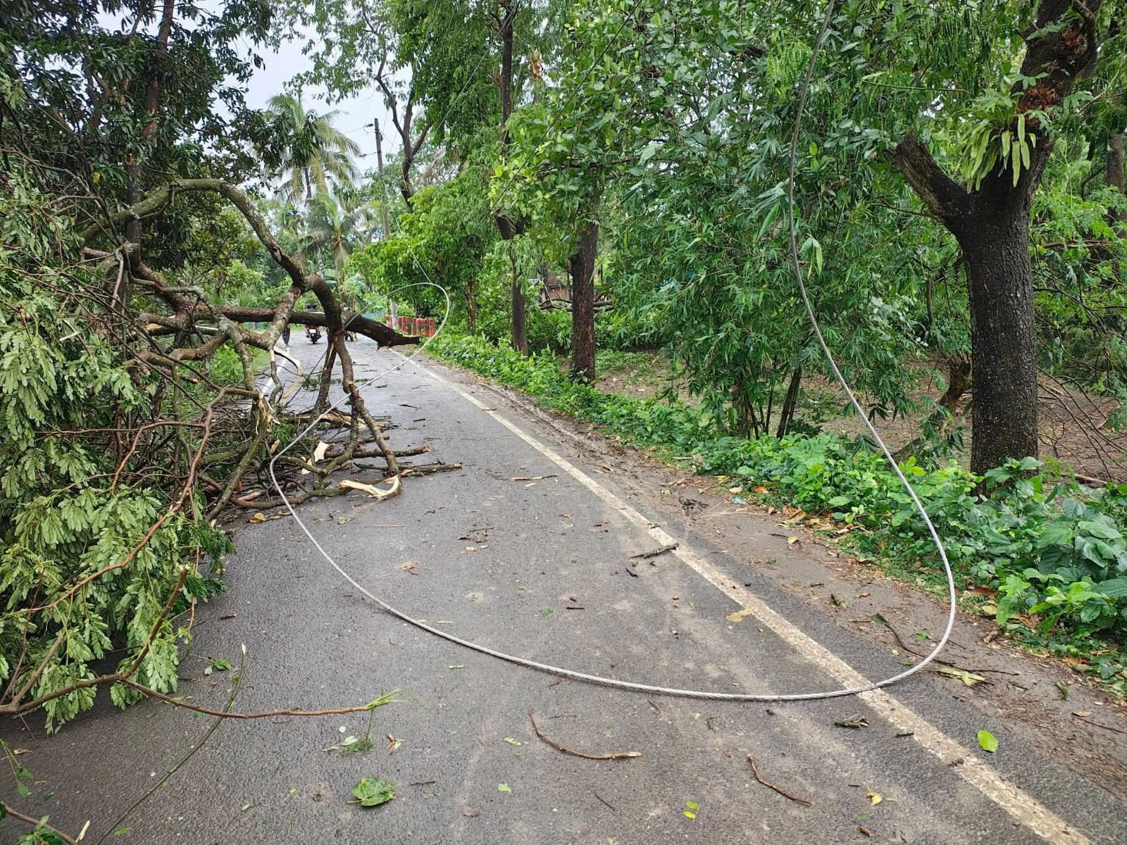 কালবৈশাখীর তাণ্ডবে সাতক্ষীরায় ব্যাপক ক্ষয়ক্ষতি, বিদ্যুৎহীন ২০ হাজার গ্রাহক ও শিশুর মৃত্যু