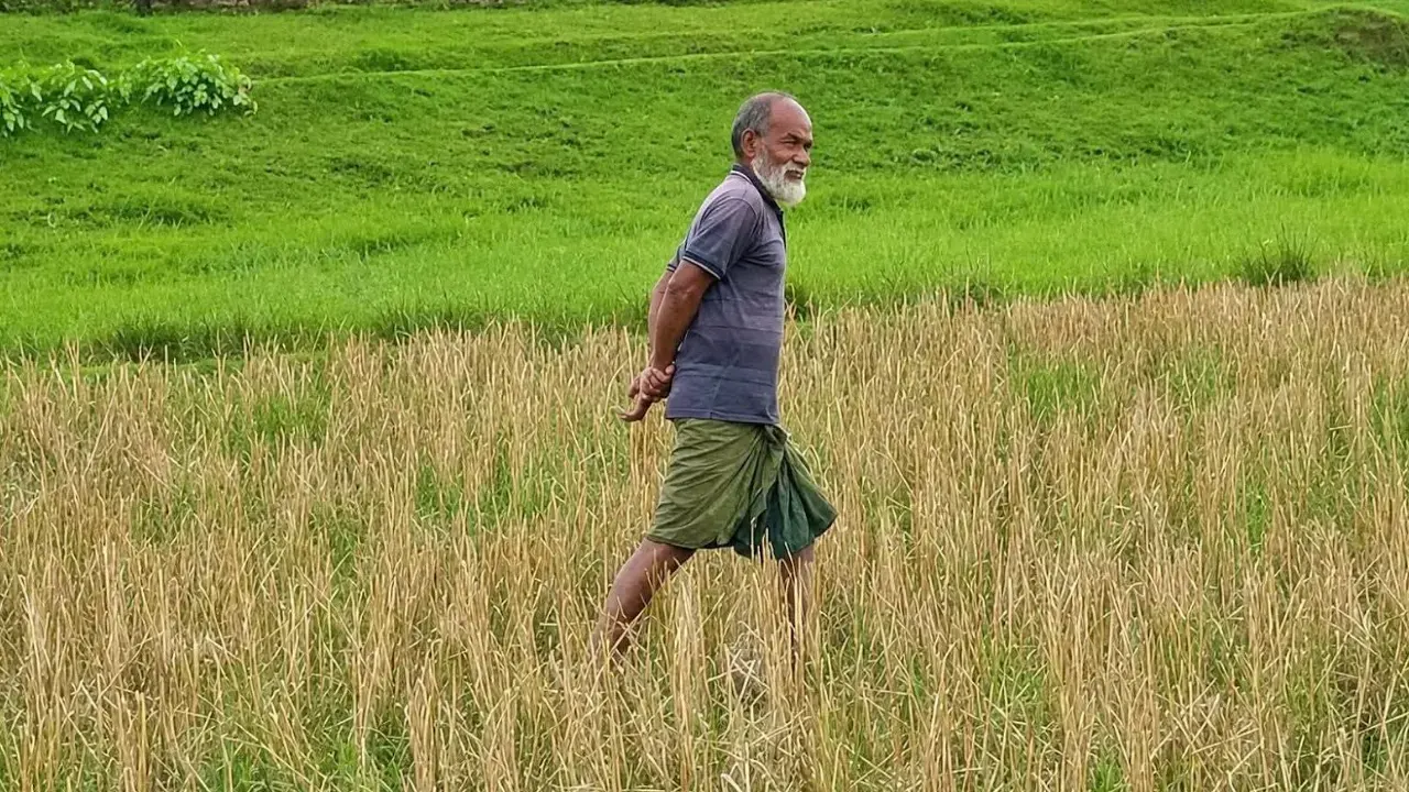 যেভাবে নিখোঁজ হন সেই বৃদ্ধ