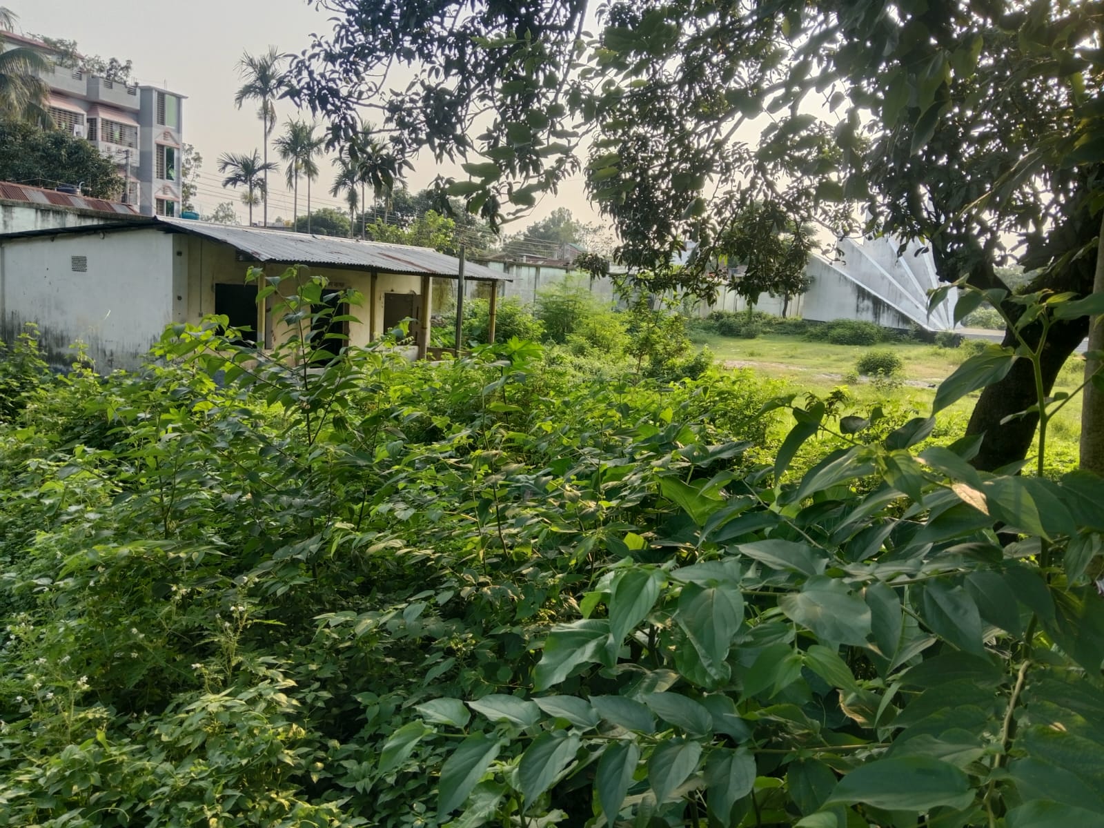 সৈয়দপুরে স্মৃতিসৌধ-বধ্যভূমি অরক্ষিত, চুরি হচ্ছে গ্রিল ও ফটক