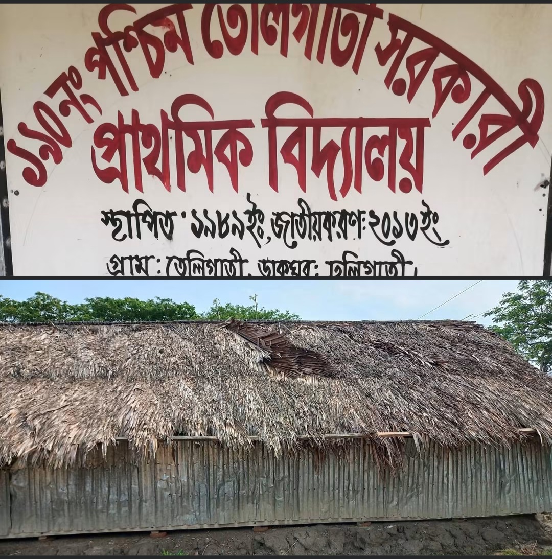 গোলপাতার জরাজীর্ণ ঘরে চলছে পাঠদান, ভবনহীন পশ্চিম তেলিগাতী সরকারি প্রাথমিক বিদ্যালয়