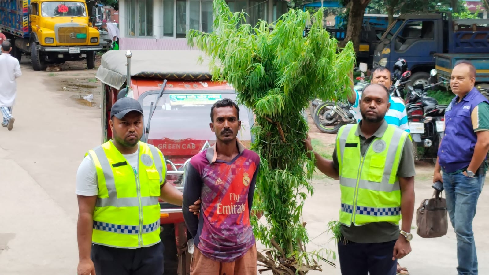 বেগুনের আড়ালে গাঁজা চাষ, পুলিশের অভিযানে আটক ১