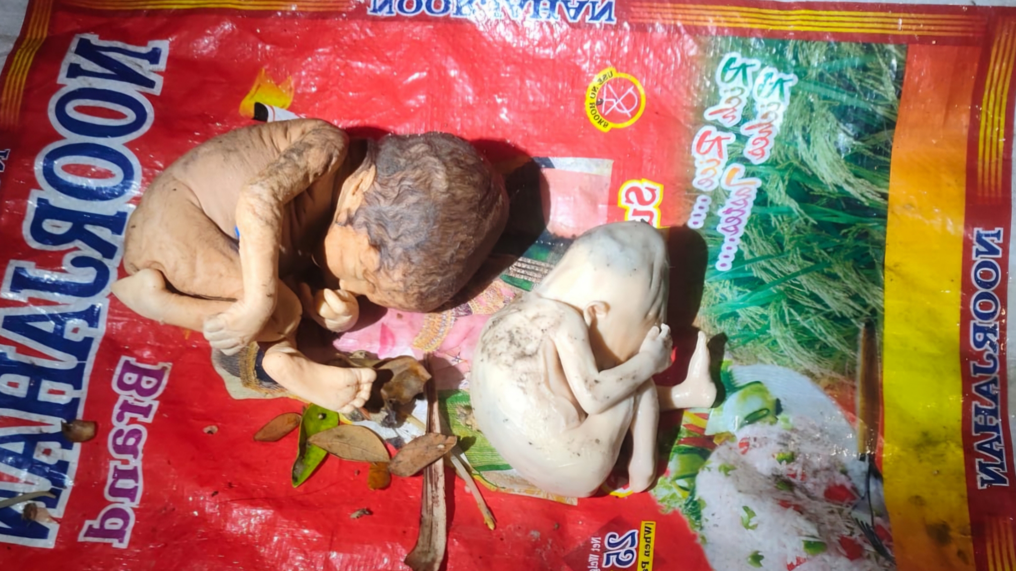 ময়লার স্তূপে মিলল দুই নবজাতকের মরদেহ