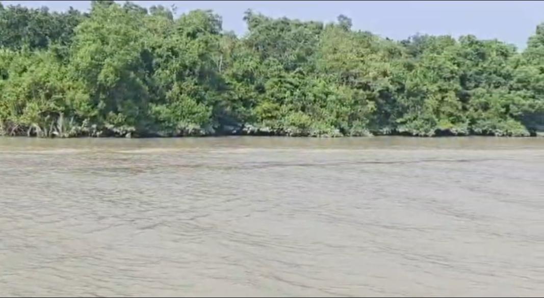 ছবি: প্রতিনিধি