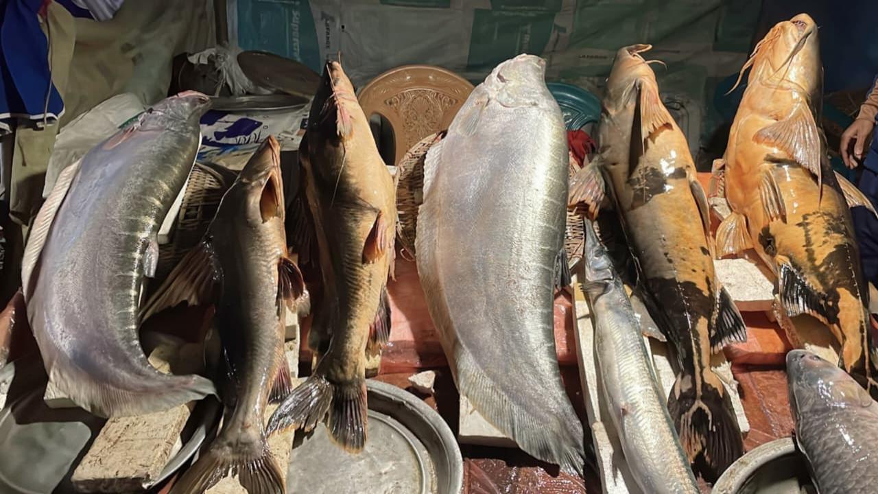 ছবি: প্রতিনিধি