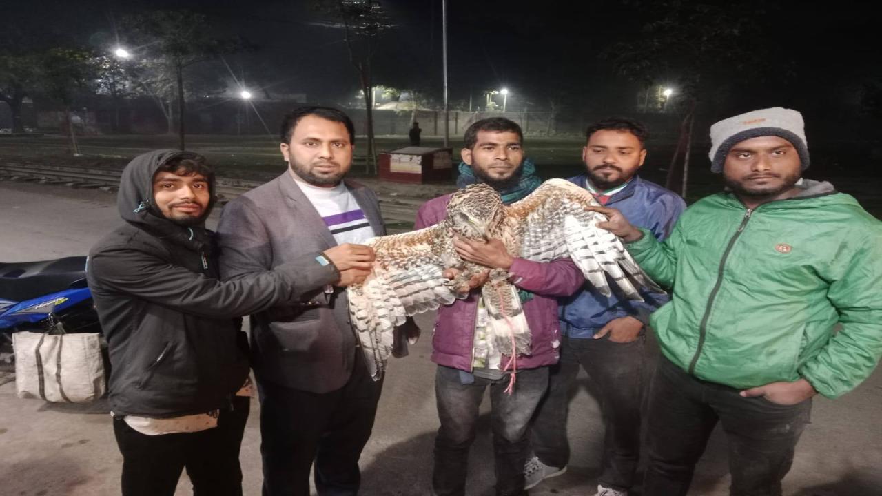 ছবি: প্রতিনিধি