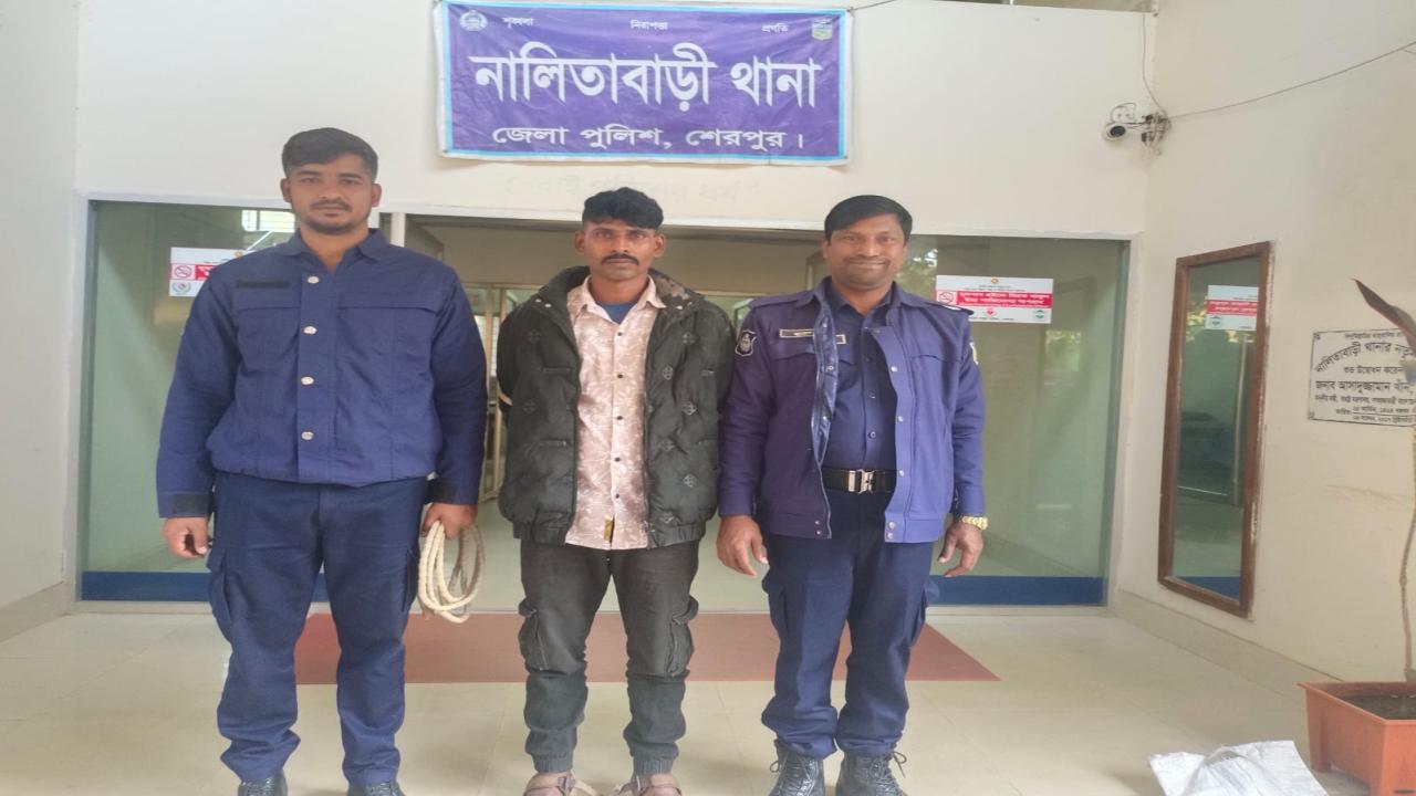 ছবি: প্রতিনিধি