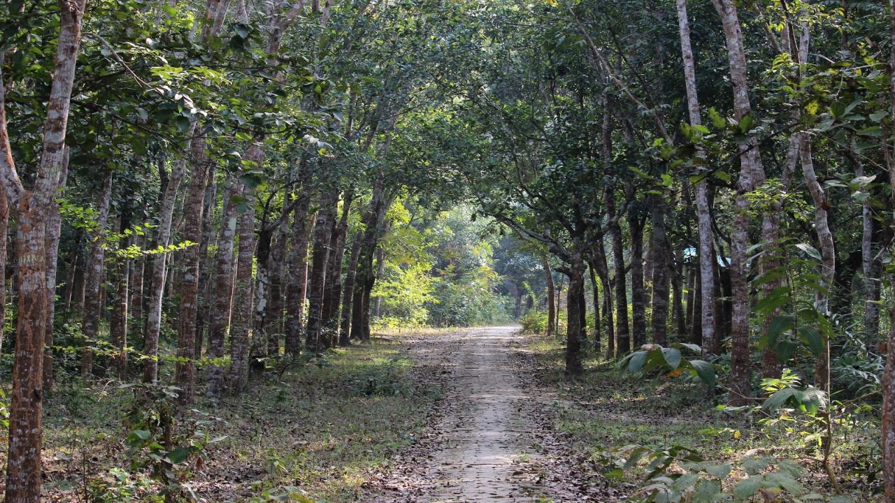 ছবি: প্রতিনিধি