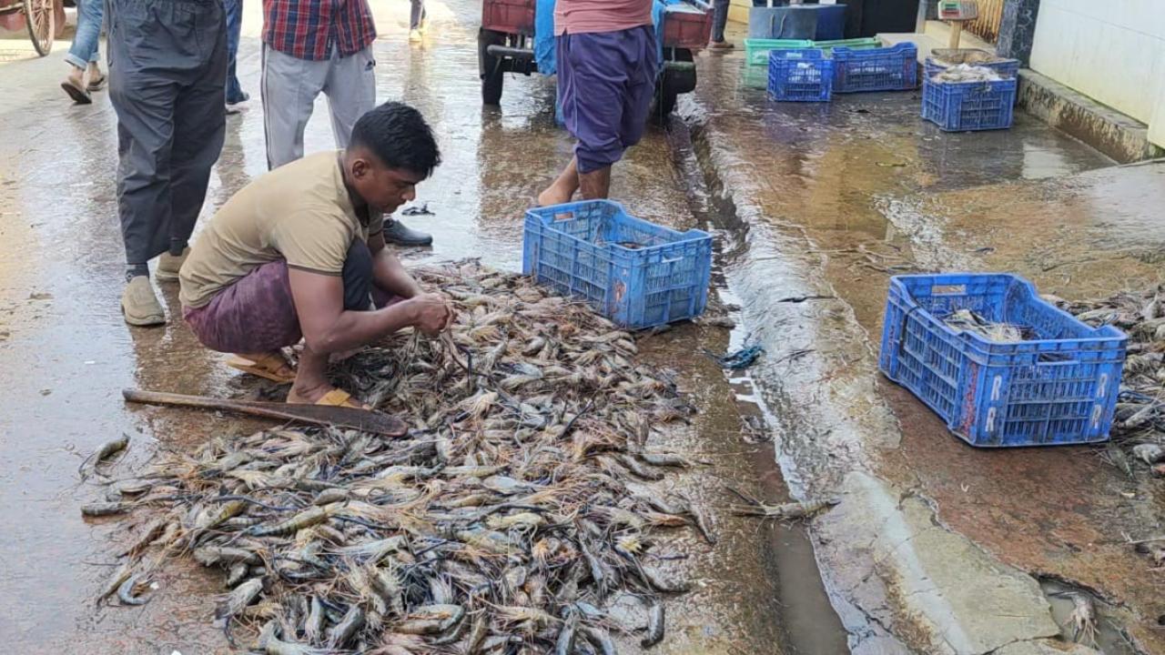 ছবি: প্রতিনিধি