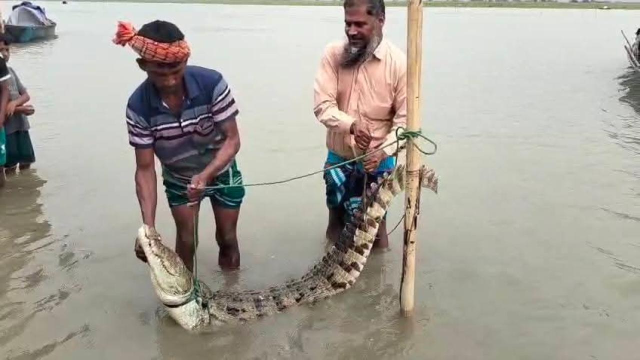 ছবি: প্রতিনিধি