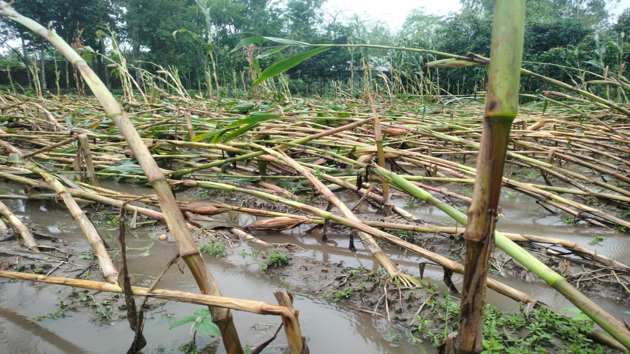ছবি: প্রতিনিধি