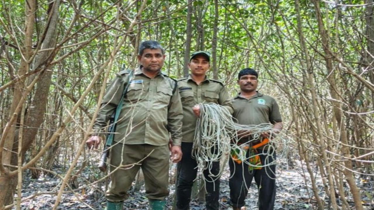 ছবি: প্রতিনিধি
