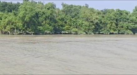 ছবি: প্রতিনিধি